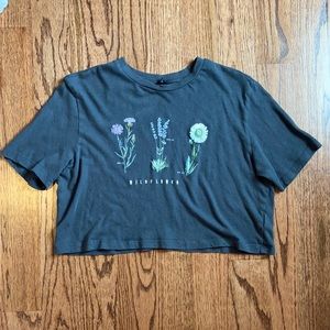 Gray Urban Outfitters Cropped Top